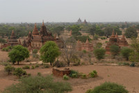 Photos